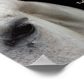 Klein Poster met een wit paard en een citaat (Hoek)