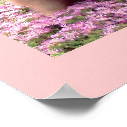 Klein Poster | Roze bloemen van Marley Pomeranian (Hoek)