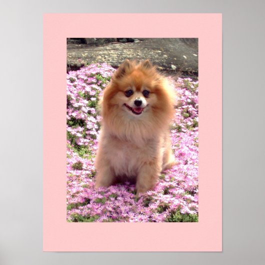 Klein Poster | Roze bloemen van Marley Pomeranian (Voorkant)