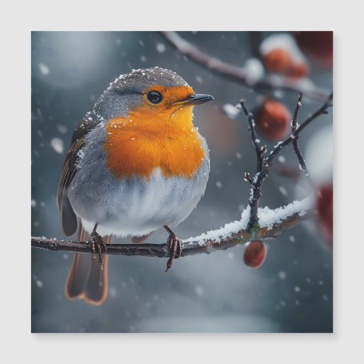 Klein robbertje zittend op een tak in de winter (Voorkant)