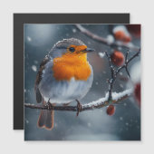 Klein robintje zittend op een tak in de winter (Voorkant / Achterkant)