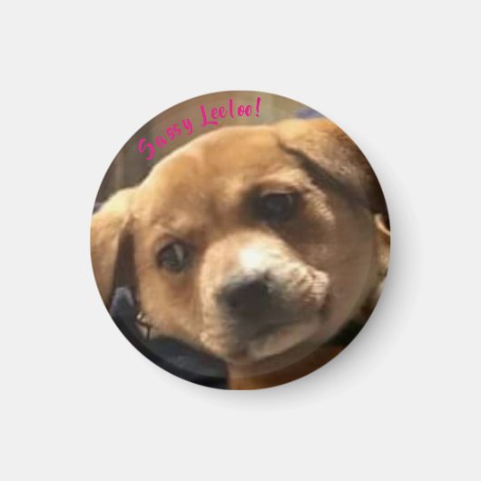 Klein, rond Sassy Leeloo! Magneet (Voorkant)