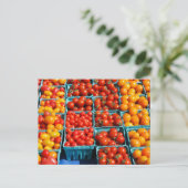 Klein-rood-Oranje tomaten Briefkaart (Staand voorkant)
