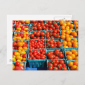Klein-rood-Oranje tomaten Briefkaart (Voorkant / Achterkant)