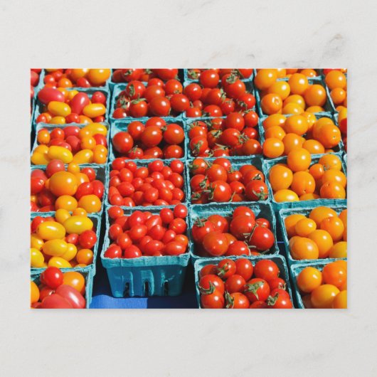Klein-rood-Oranje tomaten Briefkaart (Voorkant)