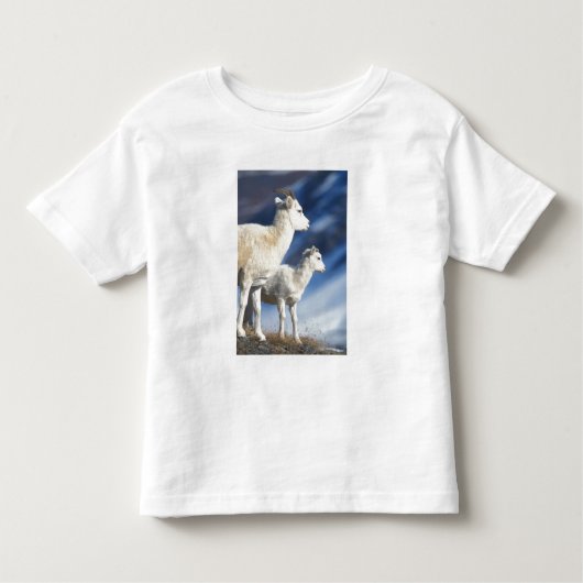 klein schaap, Ovis dalli, ooi en lam Kinder Shirts (Voorkant)