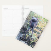 Klein sierbeeld van een kikker. planner (Display)