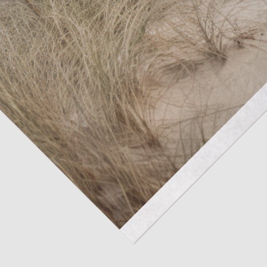 Klein stro bedekt strand huis decoupage papier (Detail)