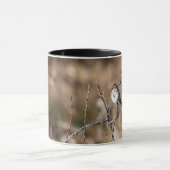 Klein Vogeltje Mok (Midden)