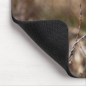 Klein Vogeltje Muismat (Hoek)