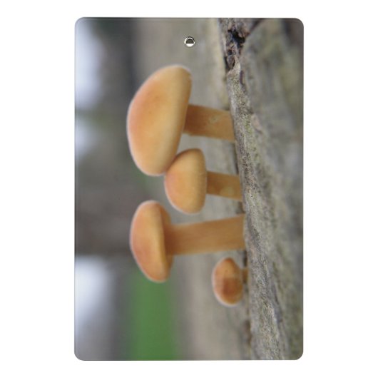 Klein whitstools Macro Mini Klembord (Achterkant)