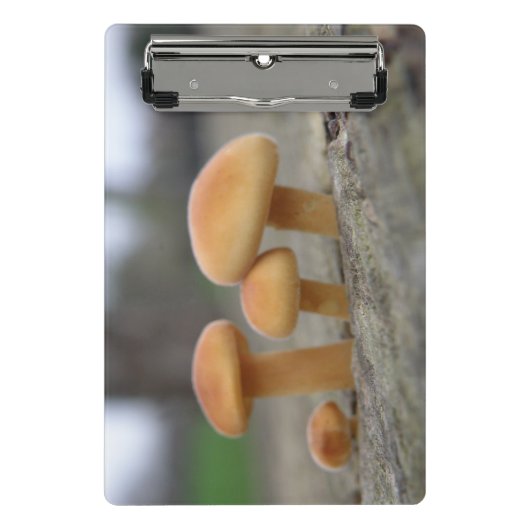Klein whitstools Macro Mini Klembord (Voorkant)