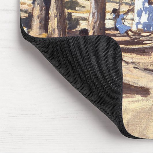 Klein wit huis Karoo Zuid-Afrika Muismat (Hoek)