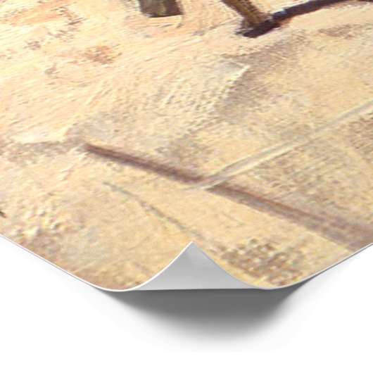 Klein wit huis Karoo Zuid-Afrika Poster (Hoek)