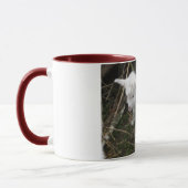 Klein wit mok (Links)