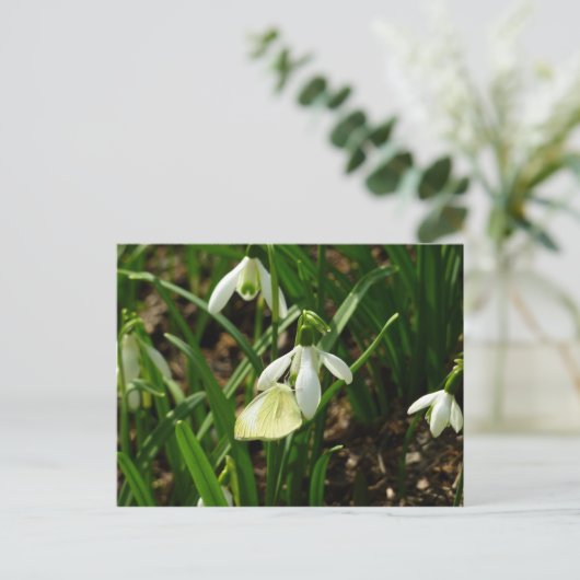 Klein wit op sneeuwval briefkaart (Staand voorkant)