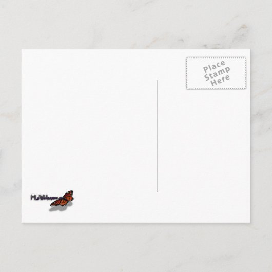 Klein wit op sneeuwval briefkaart (Achterkant)