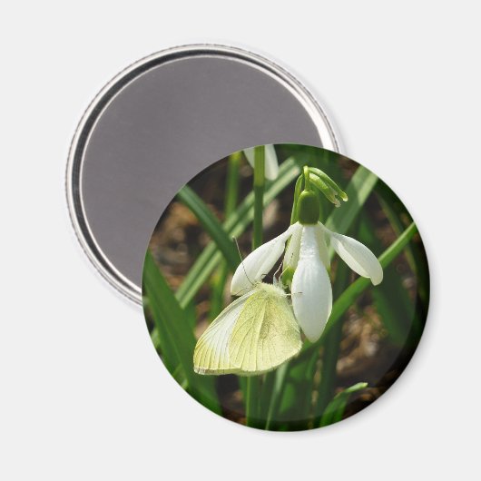 Klein wit op sneeuwval magneet (Voorkant / Achterkant)