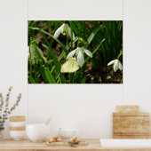 Klein wit op sneeuwval poster (Keuken)