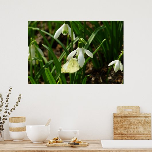 Klein wit op sneeuwval poster (Keuken)