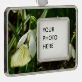 Klein wit op sneeuwval verzilverd omlijst ornament (Rechts)