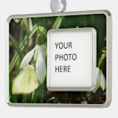 Klein wit op sneeuwval verzilverd omlijst ornament (Links)