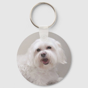 Klein Witte Hond (Maltezer) Redding Sleutelhanger