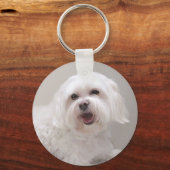 Klein Witte Hond (Maltezer) Redding Sleutelhanger (Voorkant)
