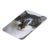 Klein-witte kat magneet (Linkerzijde)