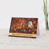 Kleindochter en echtgenoot Happy Halloween Owl Kaart (Voorkant)