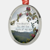 Kleindochter, jij bent de Apple van mijn oog. Metalen Ornament (Links)