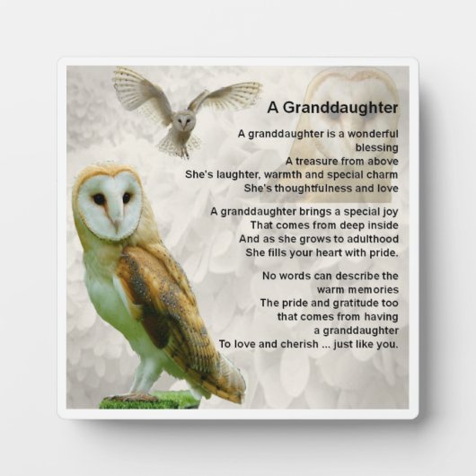 Kleindochter Poem Plaque - Owl design Fotoplaat (Voorkant)