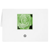 kleindochter St. Patrick's Ierse rozen (Achterkant Horizontaal)