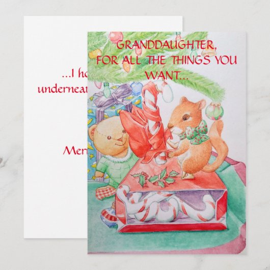 KleindochterskerstWenskaart Feestdagenkaart (Voorkant / Achterkant)