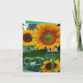 Kleine, 10,2 x 14,2 cm grote gevouwen wenskaart kaart (Achterkant)