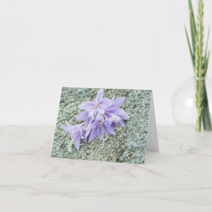 Kleine, 4-inch x 5,6-inch geheugenkaart Hartelijk Bedankkaart
