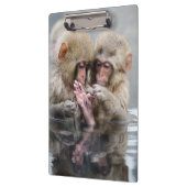 Kleine Aapjes | Heet Springs, Japan Klembord (Links)