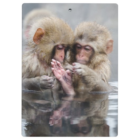 Kleine Aapjes | Heet Springs, Japan Klembord (Achterkant)