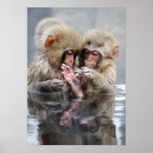 Kleine Aapjes   Heet Springs, Japan Poster