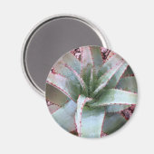 Kleine agave magneet (Voorkant / Achterkant)