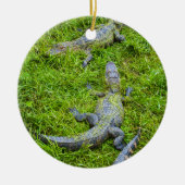 Kleine alligators Basking Keramisch Ornament (Voorkant)