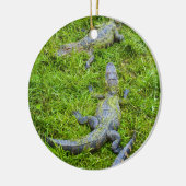 Kleine alligators Basking Keramisch Ornament (Links)