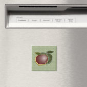 Kleine appels (sage) Magnet (Insitu (Vaatwasser))