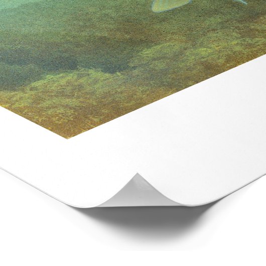 Kleine Baars Schilderij Poster (Hoek)