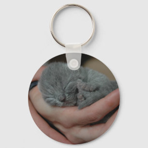 Kleine Baby Blauwe Kitten Sleutelhanger