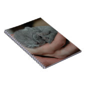 Kleine baby Blue Kitten Notitieboek (Rechterzijde)