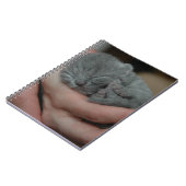 Kleine baby Blue Kitten Notitieboek (Linkerzijde)