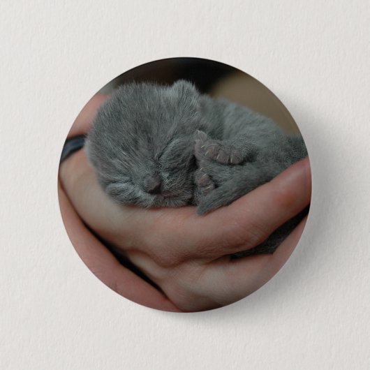 Kleine baby Blue Kitten Ronde Button 5,7 Cm (Voorkant)