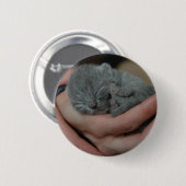 Kleine baby Blue Kitten Ronde Button 5,7 Cm (Voorkant /achterkant)