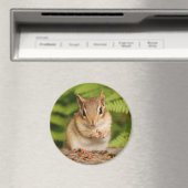Kleine baby chipmunk magneet (Insitu (Vaatwasser))